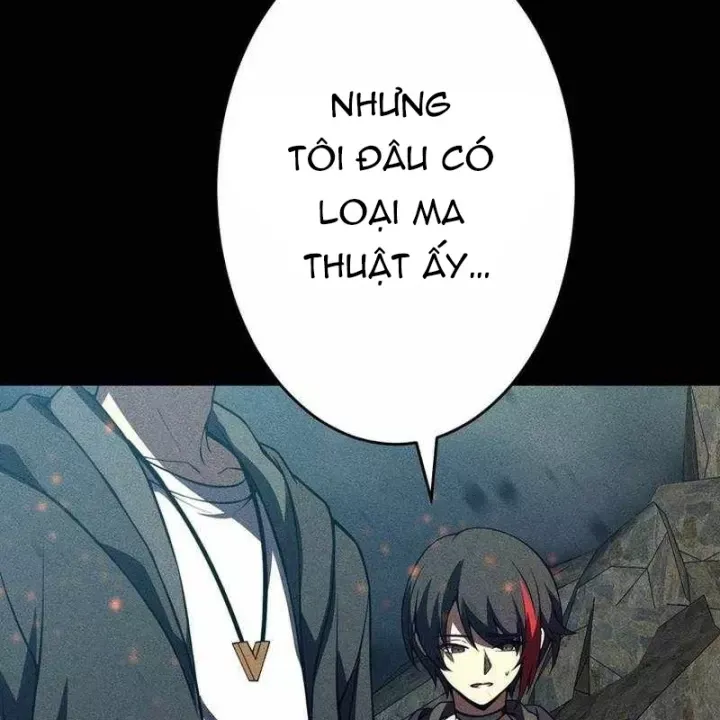 Chapter 48