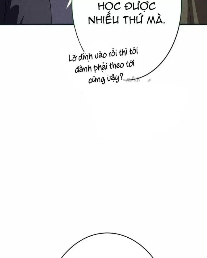 Chapter 49