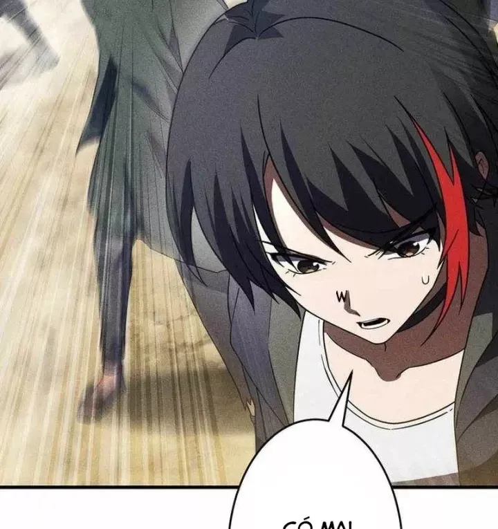 Chapter 51