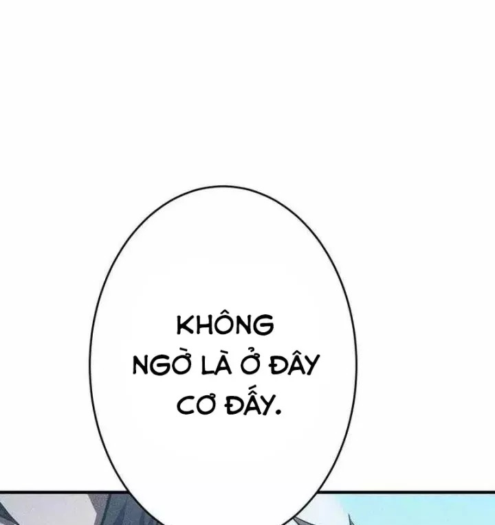 Chapter 51