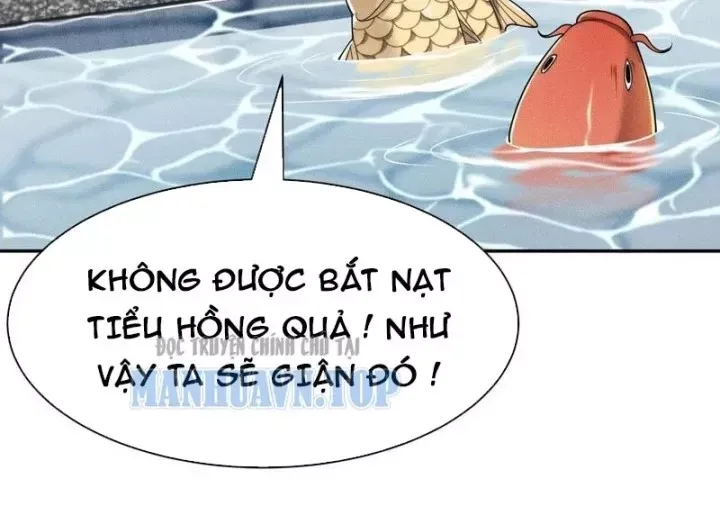 Chapter 62