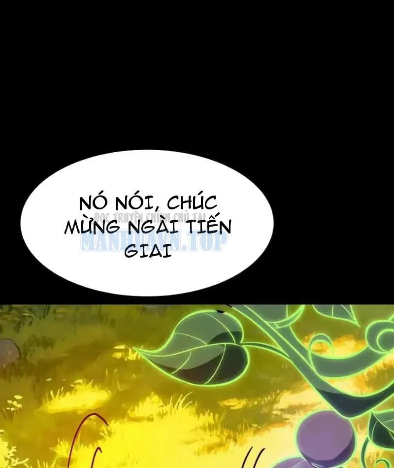 Chapter 70