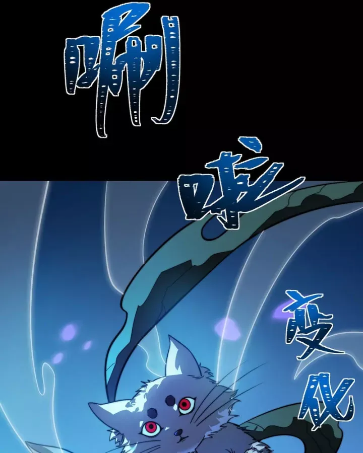 Chapter 74