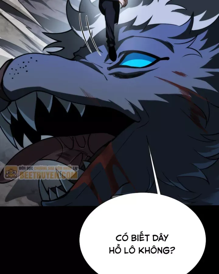 Chapter 74