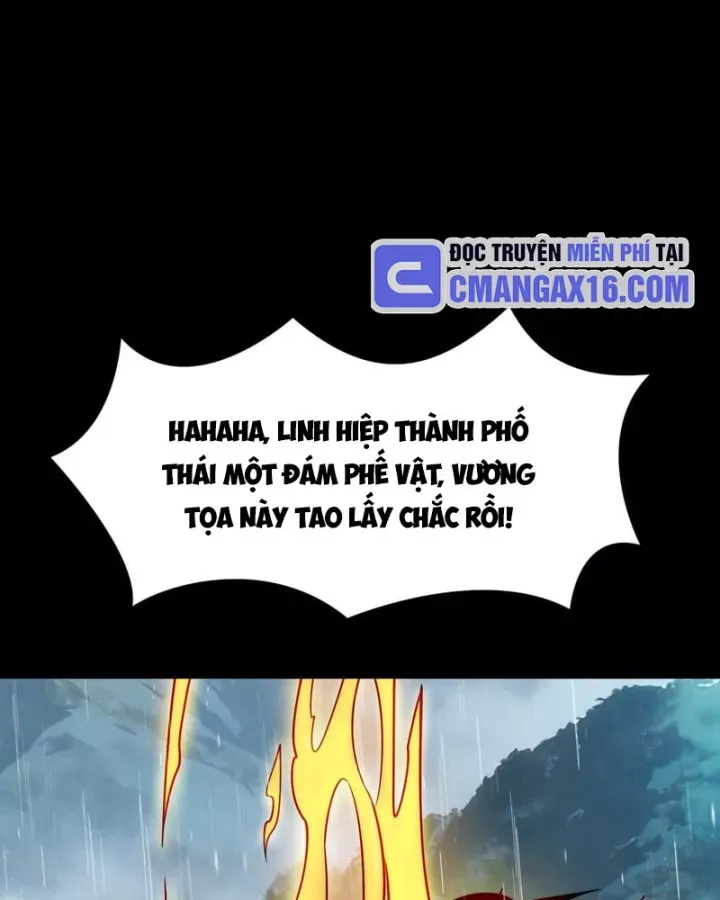 Chapter 81