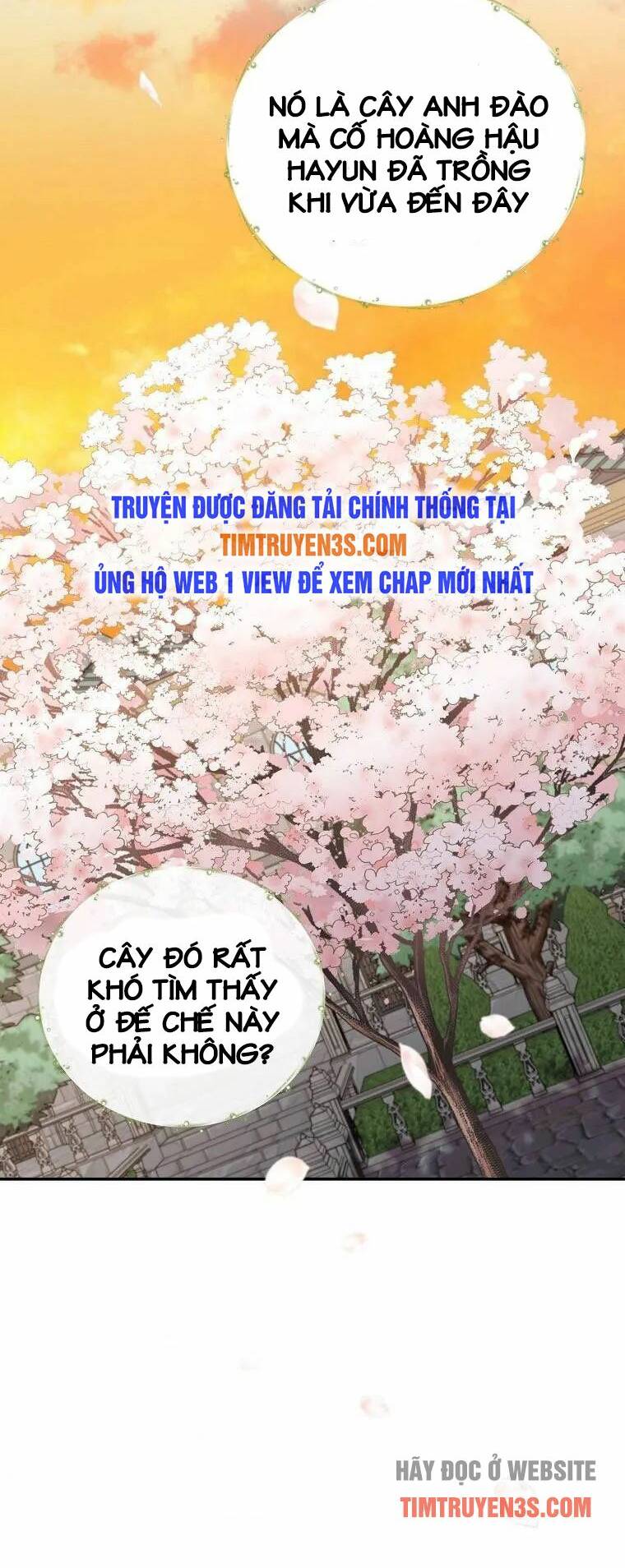 Chapter 41