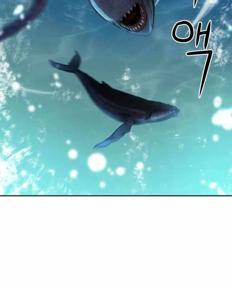 Chapter 62