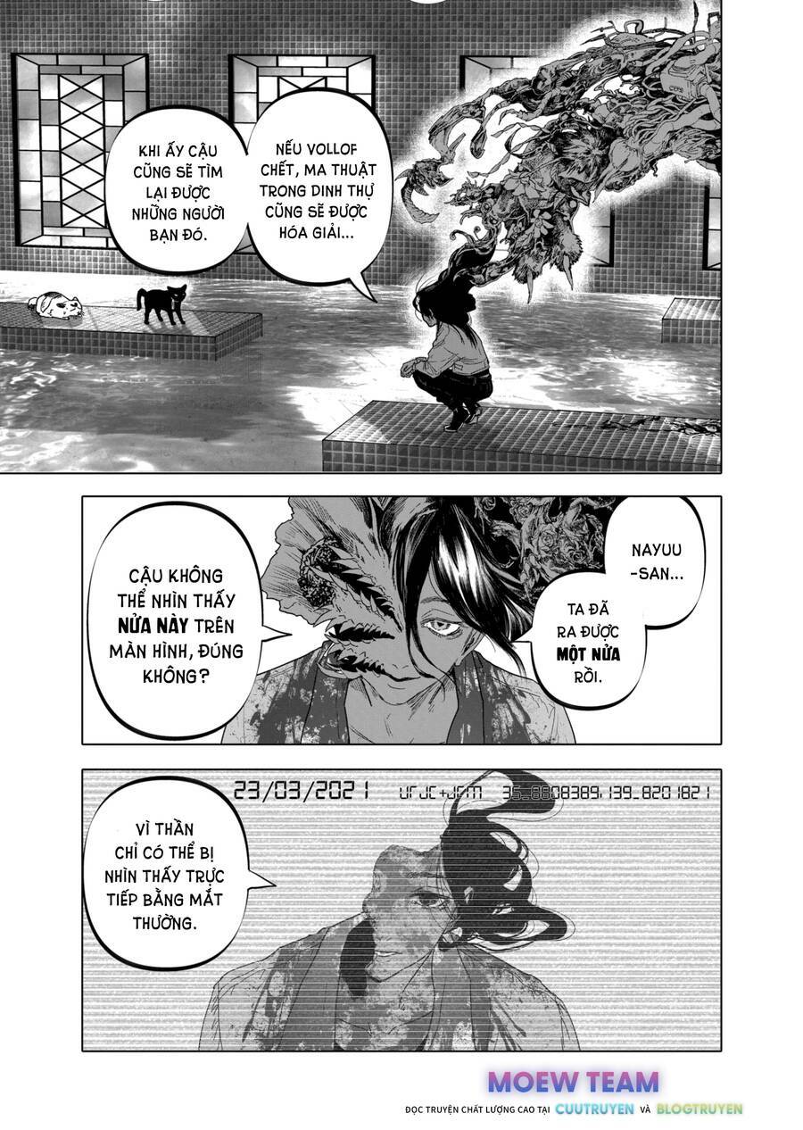 Chapter 41