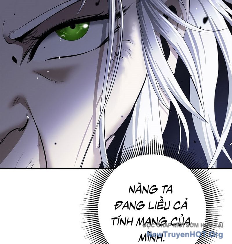 Chapter 204