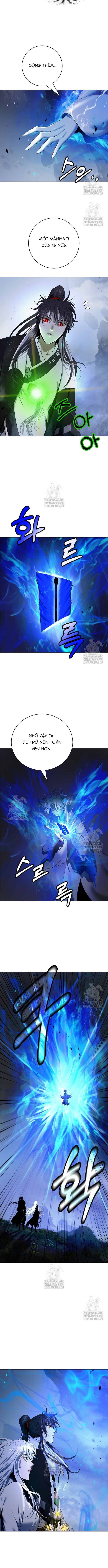 Chapter 209