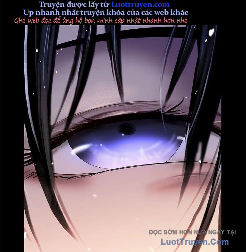 Chapter 213