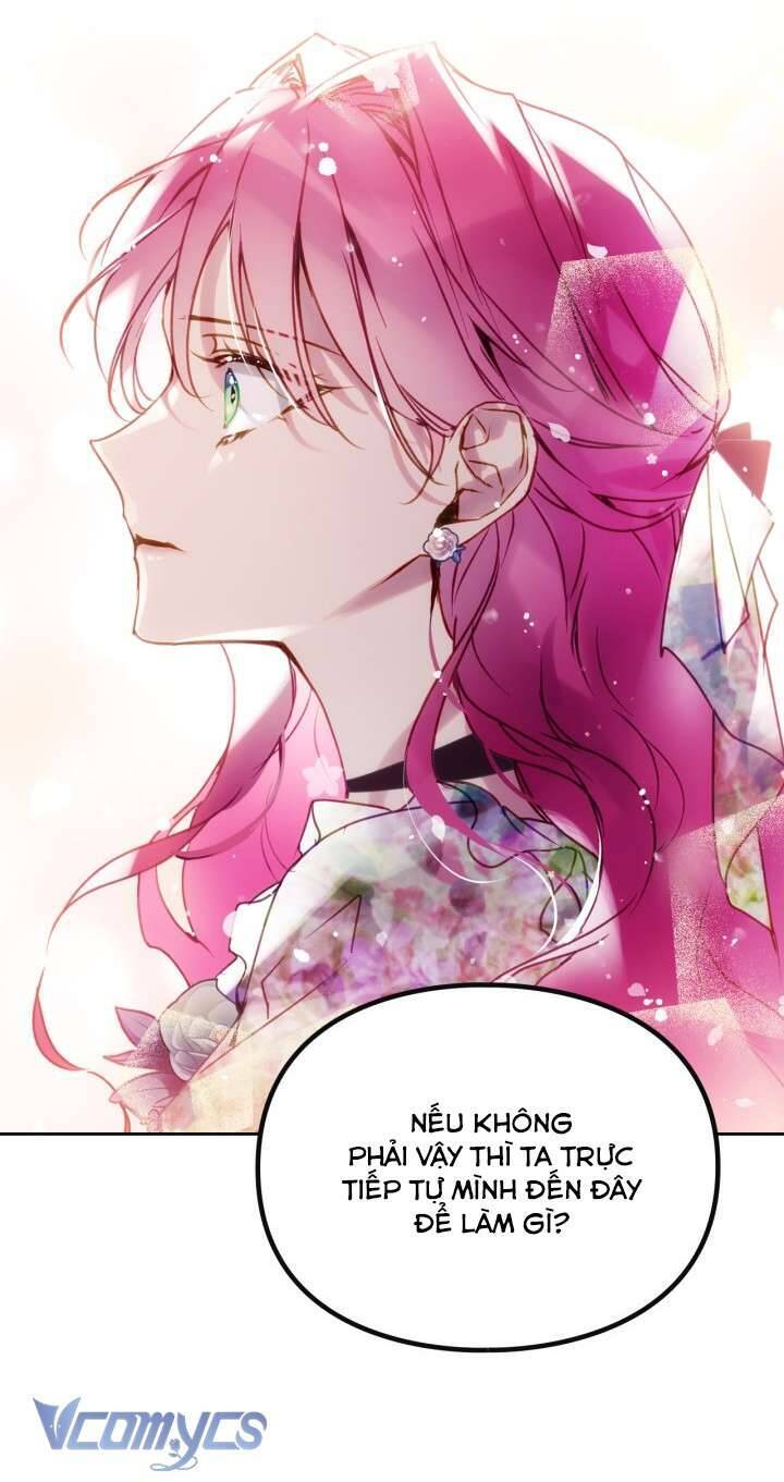 Chapter 146