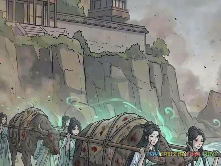 Chapter 114