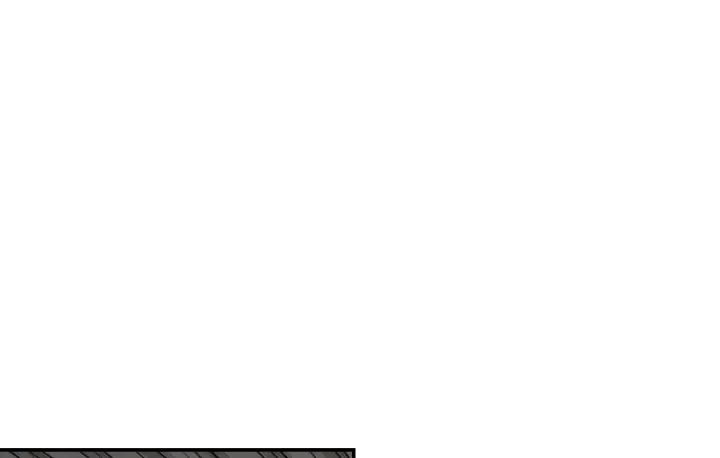 Chapter 55