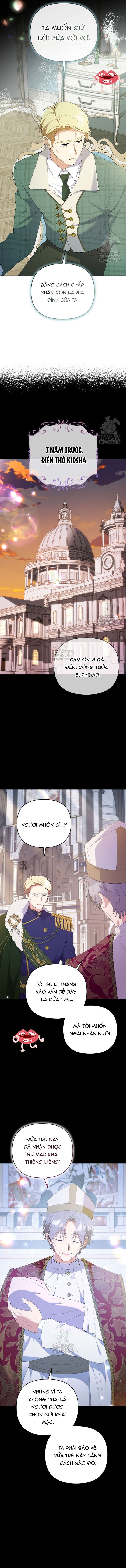 Chapter 22