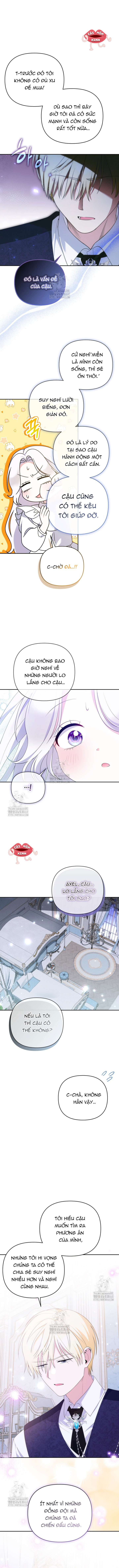Chapter 22