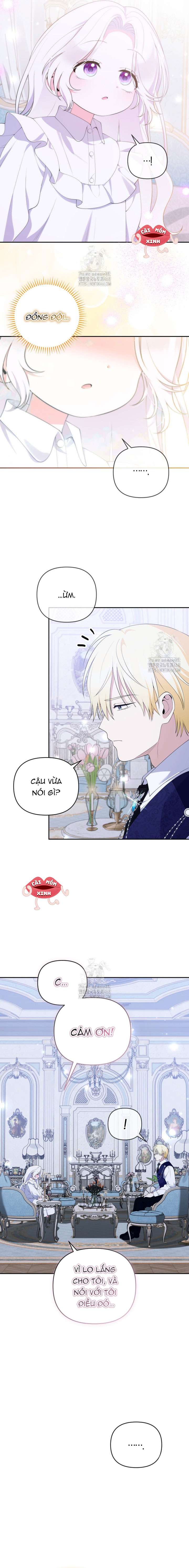 Chapter 22