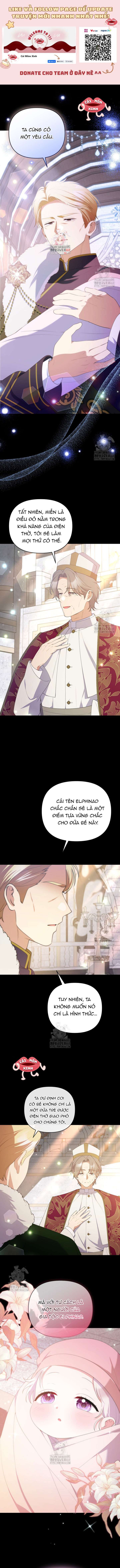 Chapter 23
