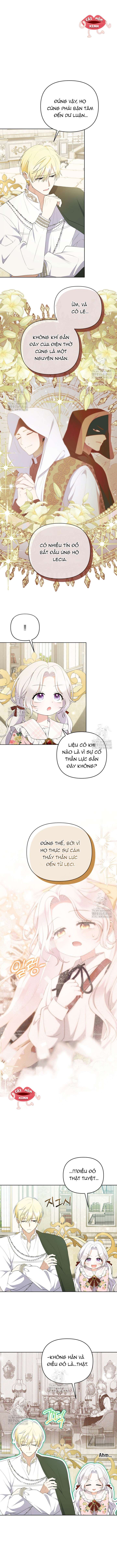 Chapter 23