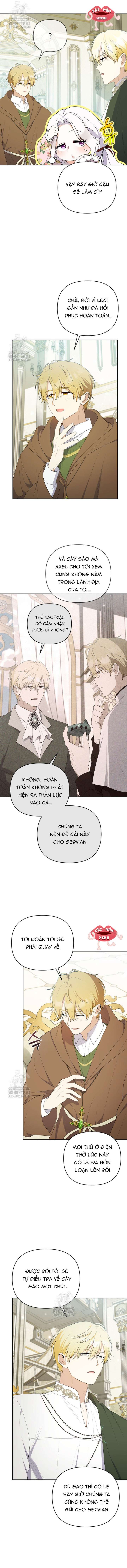 Chapter 23