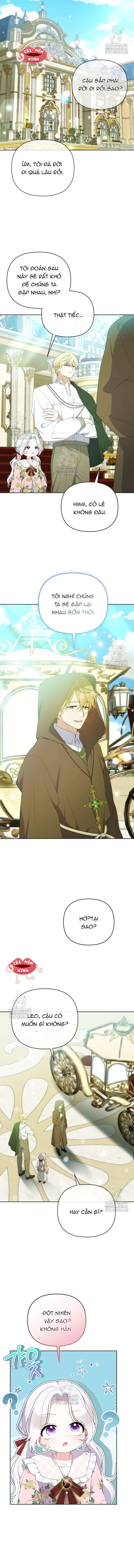 Chapter 23