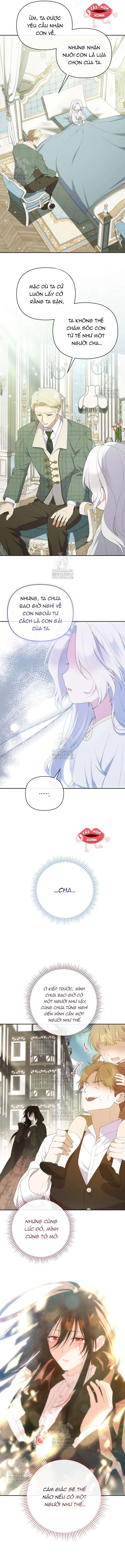 Chapter 23