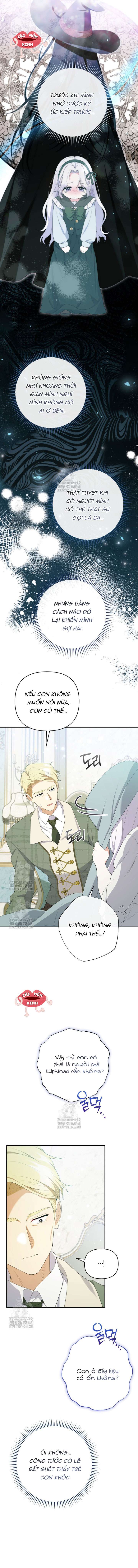 Chapter 23