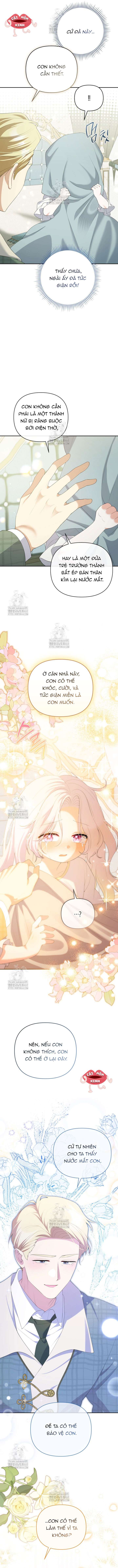 Chapter 23