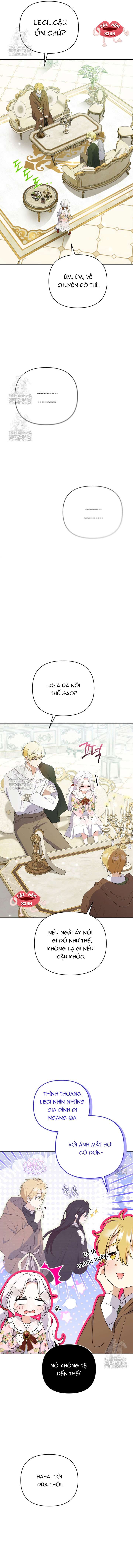 Chapter 23