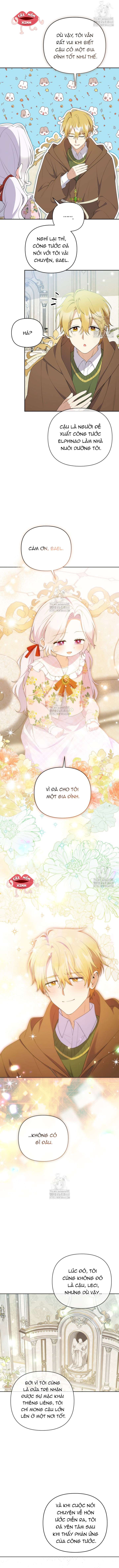 Chapter 23