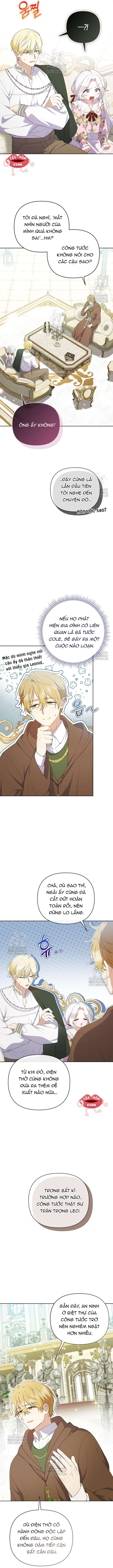 Chapter 23
