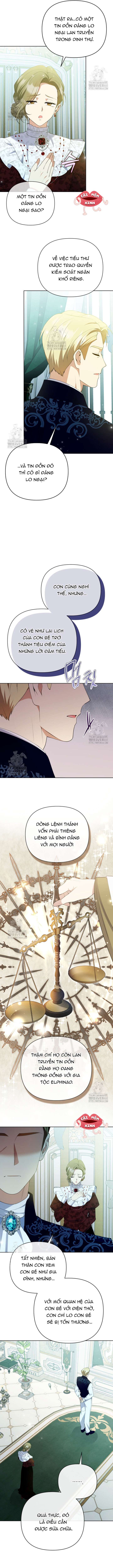 Chapter 24