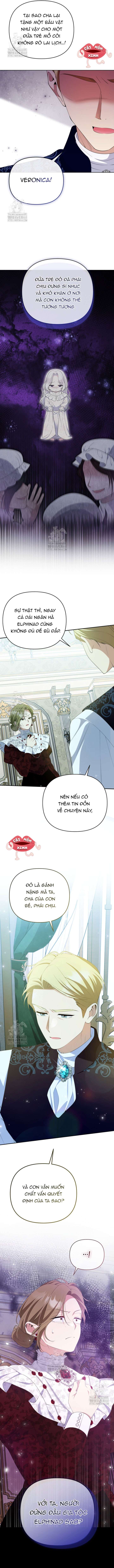 Chapter 24