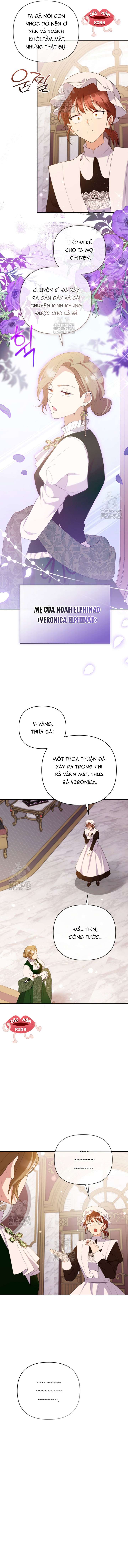 Chapter 24