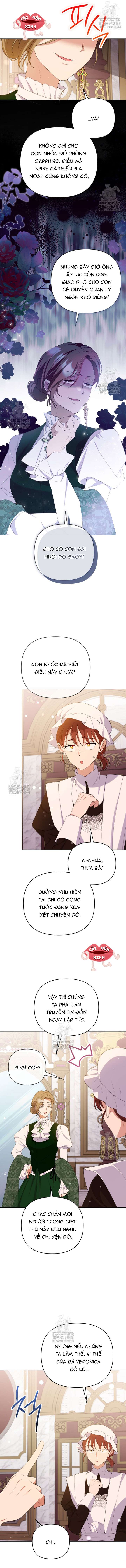 Chapter 24