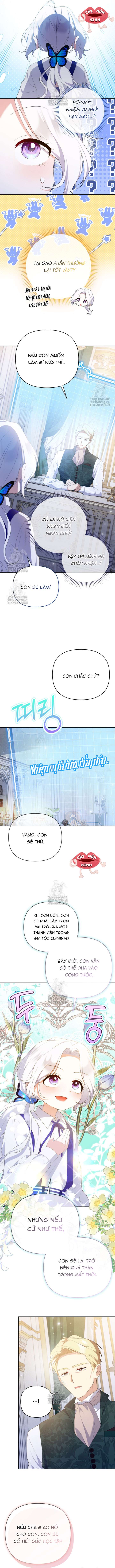 Chapter 25