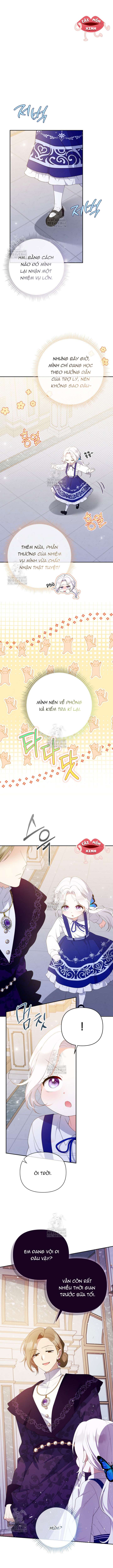 Chapter 25