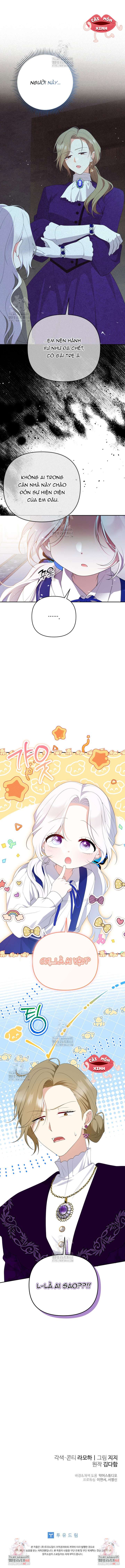 Chapter 25