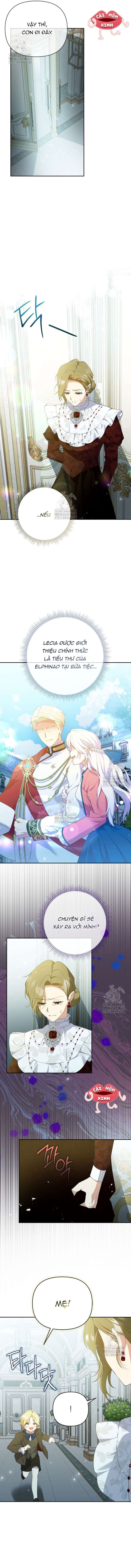 Chapter 25