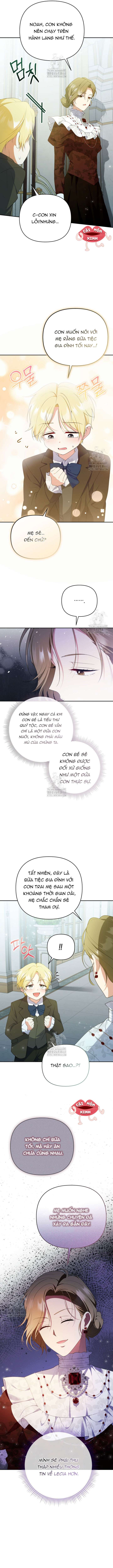 Chapter 25