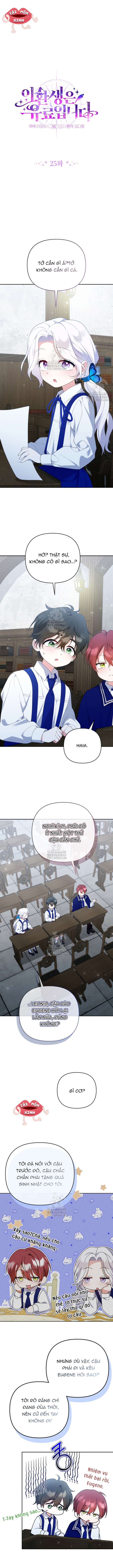 Chapter 25