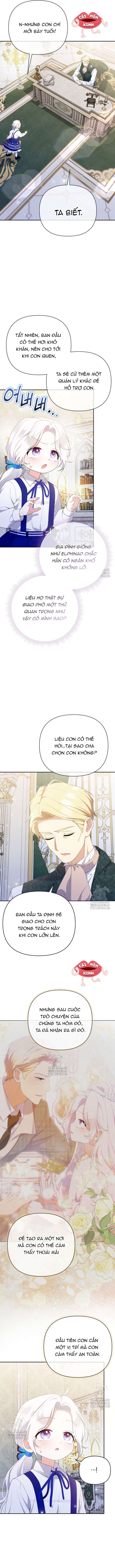 Chapter 25