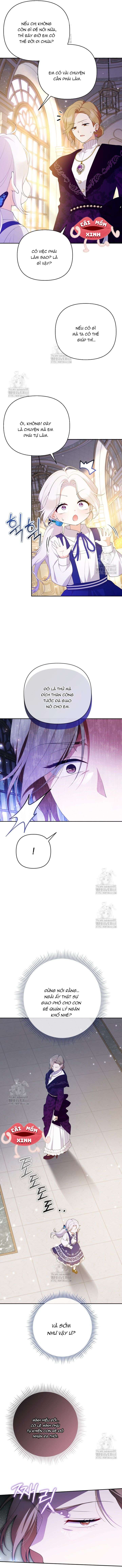 Chapter 26