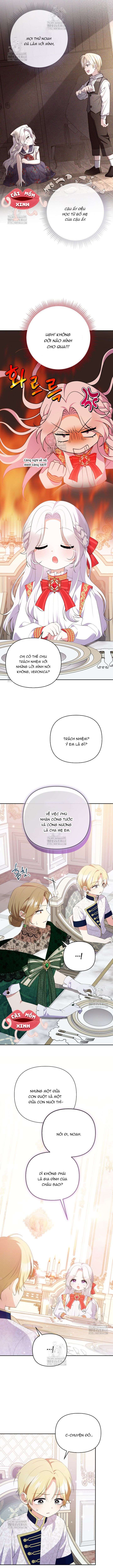 Chapter 26