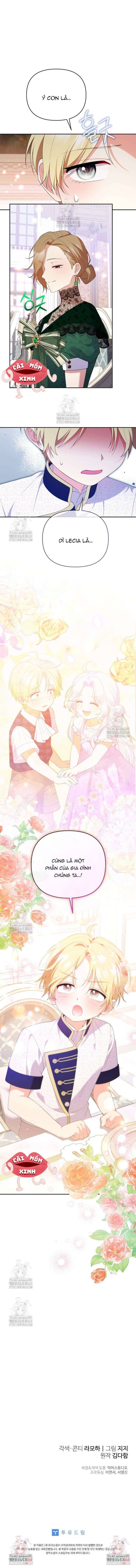 Chapter 26