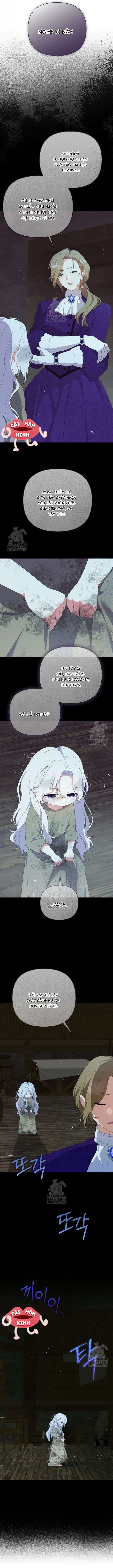 Chapter 26
