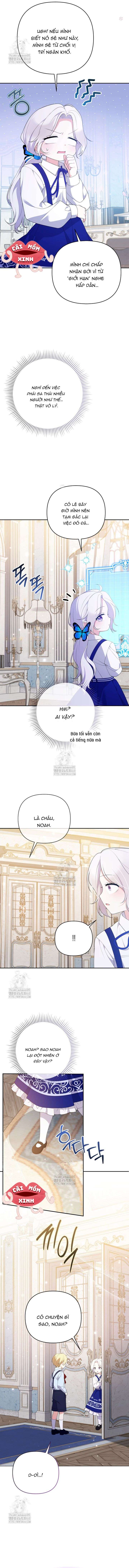 Chapter 26