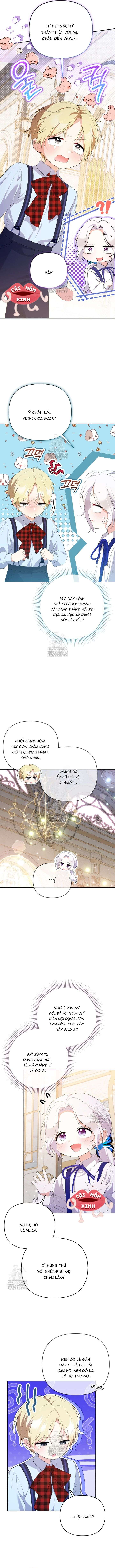Chapter 26