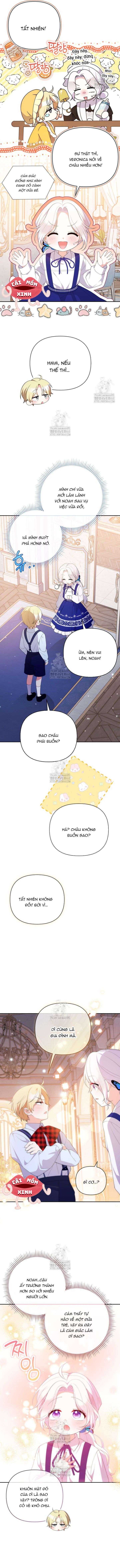 Chapter 26