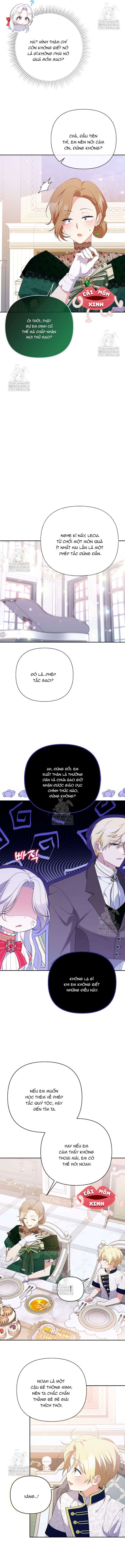 Chapter 26